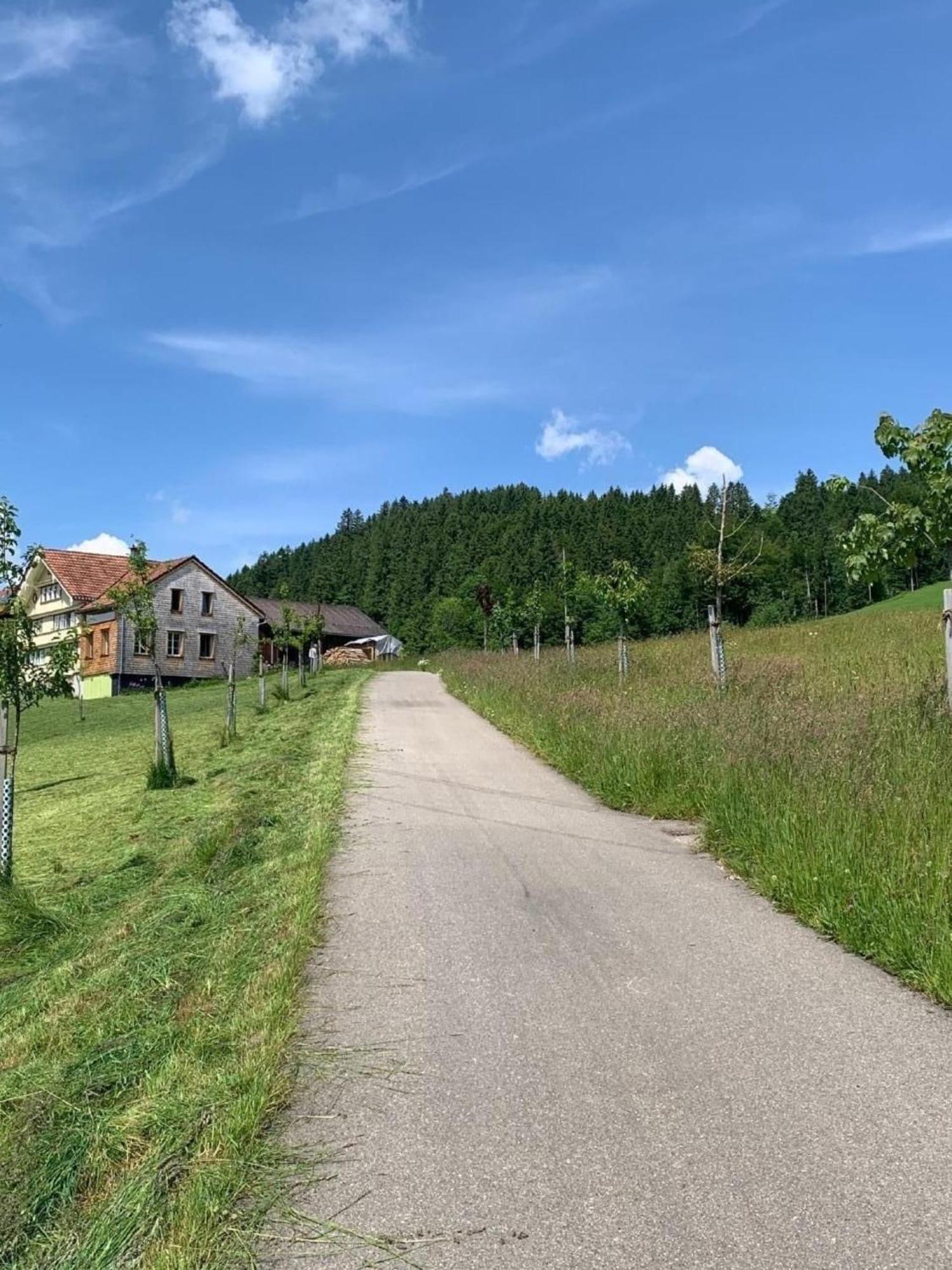 Nirkwerk - Die Wohnung - Wohnen Und Werken Schonengrund Exterior photo